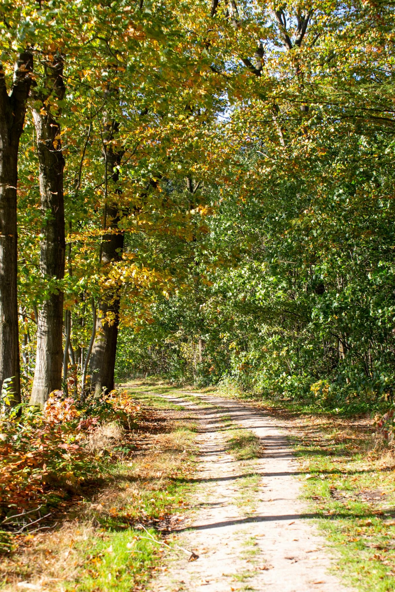 Nationaal Park De Meinweg