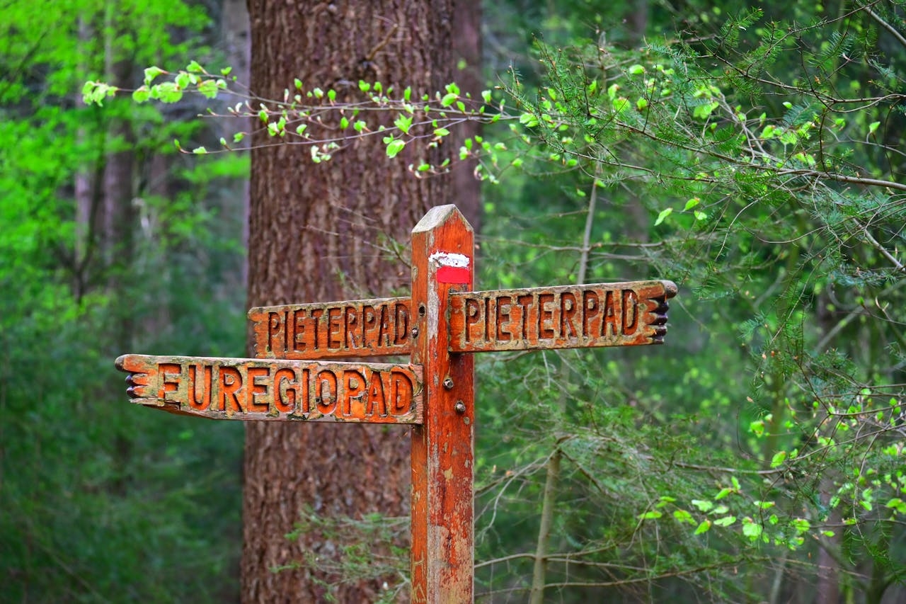 Pieterpad